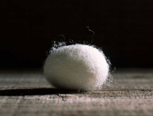 三台蚕茧 三台蚕茧