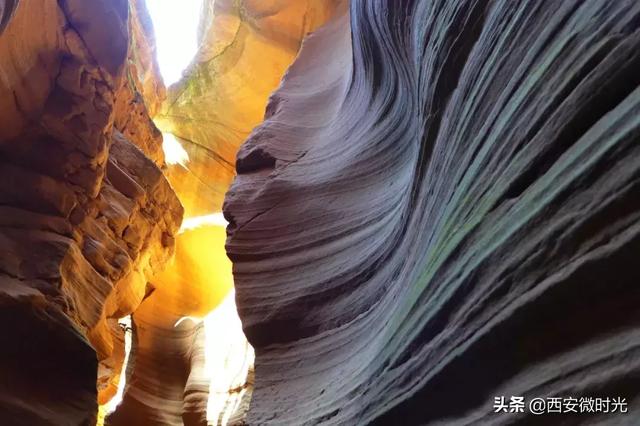 周末去哪看油菜花陕西(骑马赏花觅美食)