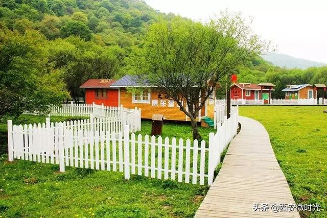 周末去哪看油菜花陕西(骑马赏花觅美食)