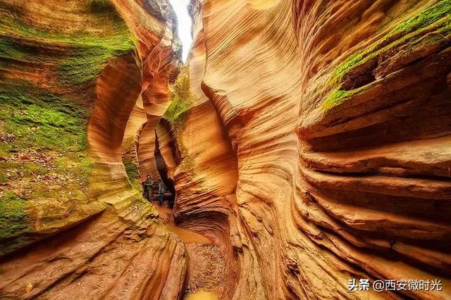 周末去哪看油菜花陕西(骑马赏花觅美食)