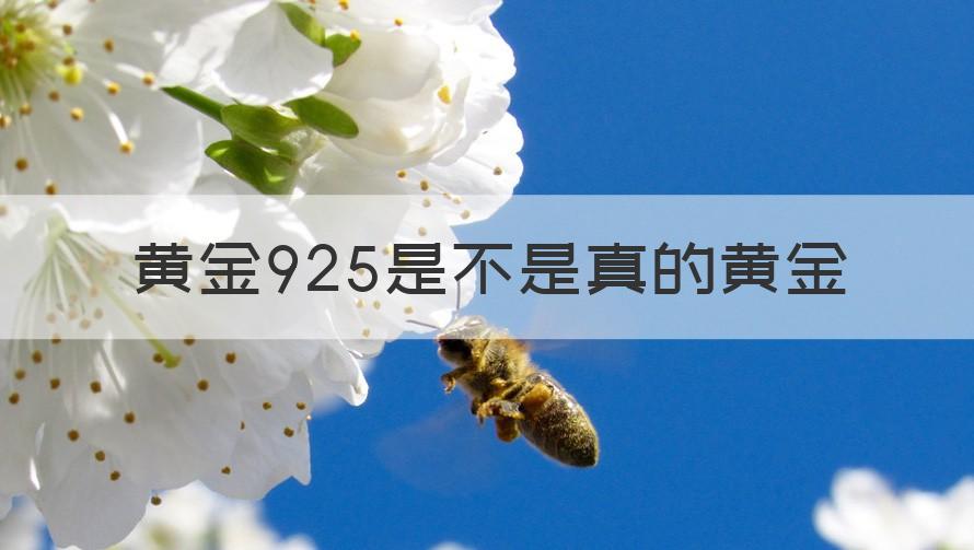 925黄金是真是假 黄金925是不是真的黄金(专家回答)