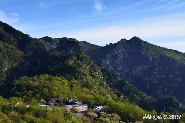 周末去哪看油菜花陕西(骑马赏花觅美食)