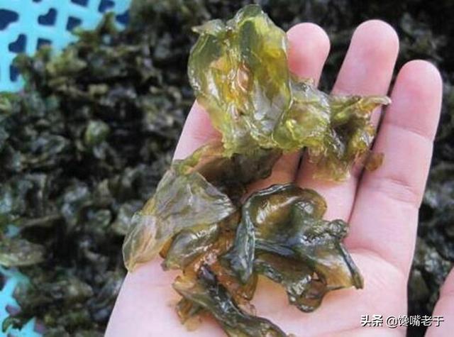 山里有什么植物可以吃（农村一种打雷才有的植物）