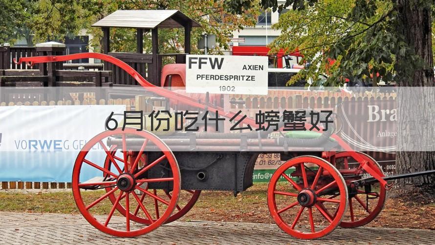 6月份吃什么螃蟹 6月份吃什么螃蟹好(知识科普)