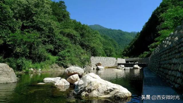 周末去哪看油菜花陕西(骑马赏花觅美食)