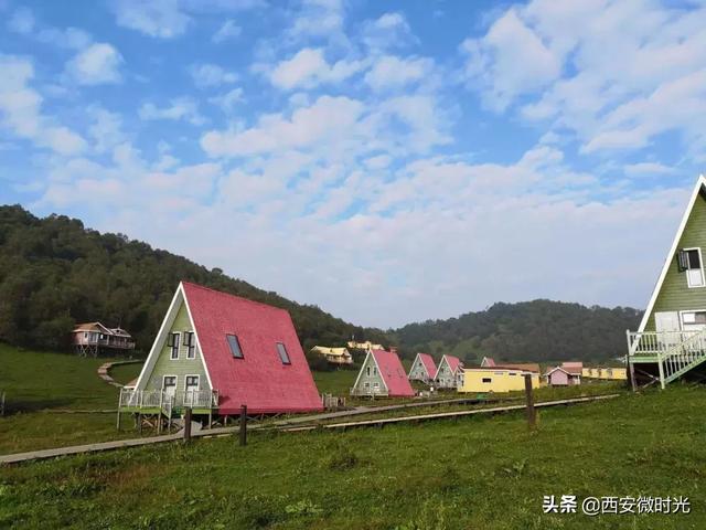 周末去哪看油菜花陕西(骑马赏花觅美食)