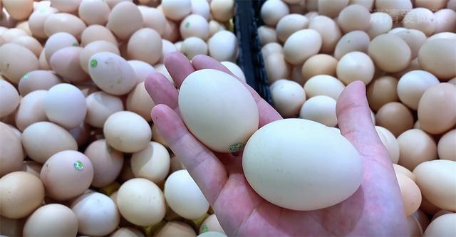 怎么分辨人造鸡蛋和真鸡蛋(教你4个小技巧)(4)