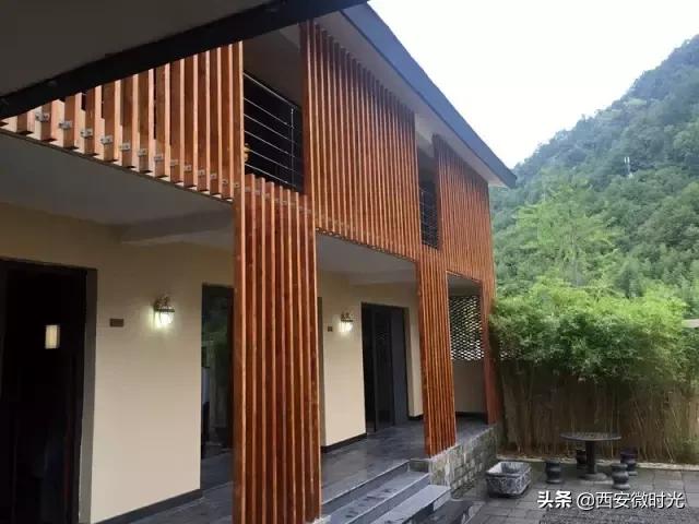 周末去哪看油菜花陕西(骑马赏花觅美食)