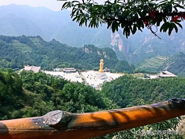 周末去哪看油菜花陕西(骑马赏花觅美食)