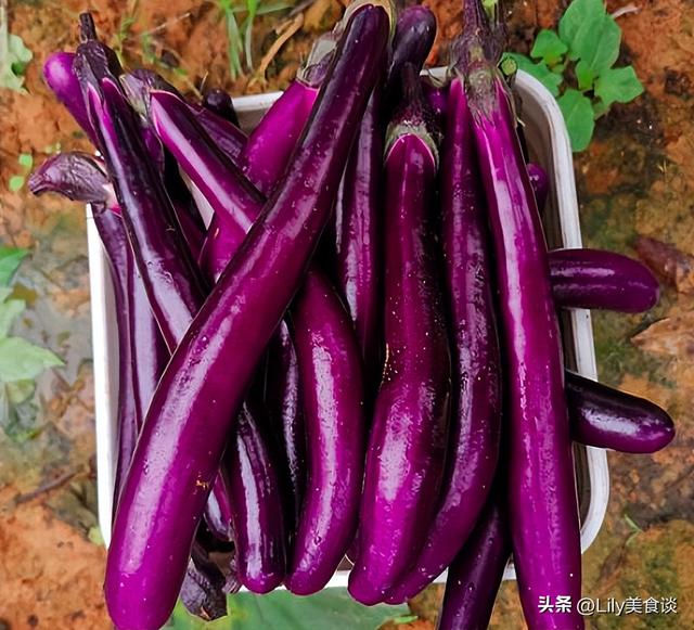 三伏天做什么菜(建议把这5种蔬菜晒干)