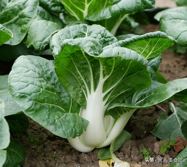 三伏天做什么菜(建议把这5种蔬菜晒干)