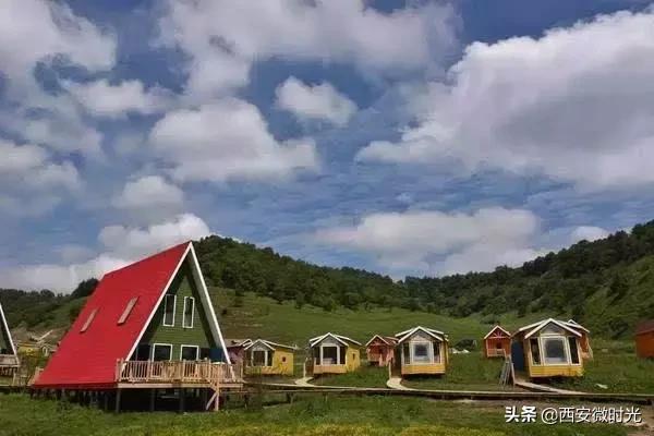 周末去哪看油菜花陕西(骑马赏花觅美食)