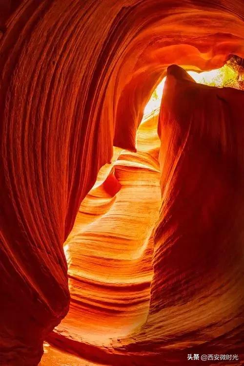 周末去哪看油菜花陕西(骑马赏花觅美食)