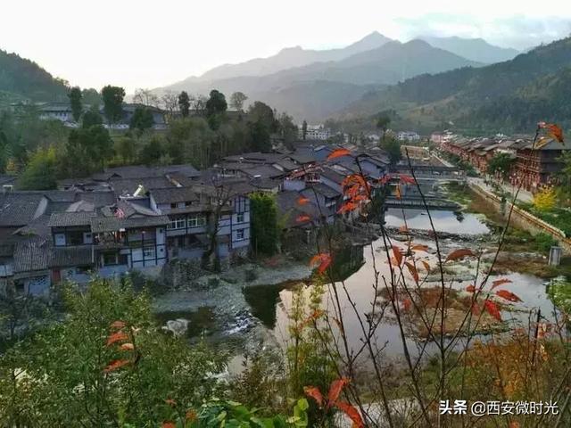 周末去哪看油菜花陕西(骑马赏花觅美食)