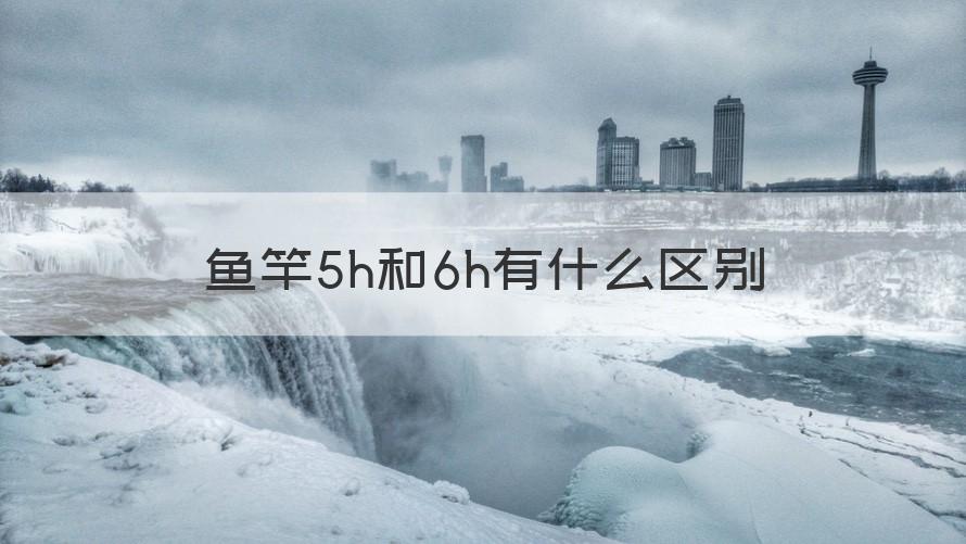 6h和5h区别 鱼竿5h和6h有什么区别(回答)