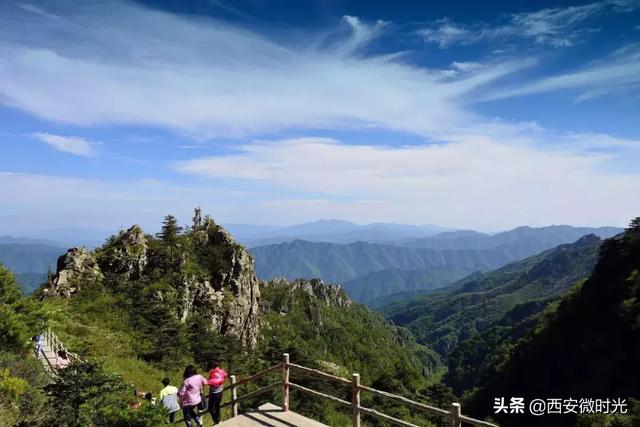 周末去哪看油菜花陕西(骑马赏花觅美食)