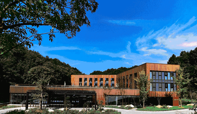 周末去哪看油菜花陕西(骑马赏花觅美食)