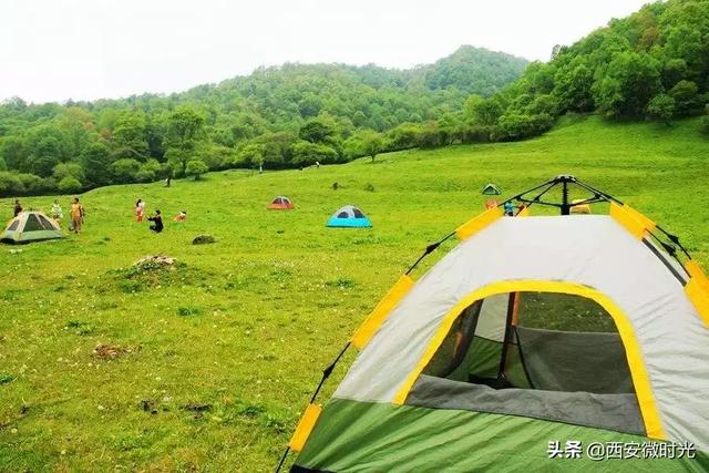 周末去哪看油菜花陕西(骑马赏花觅美食)