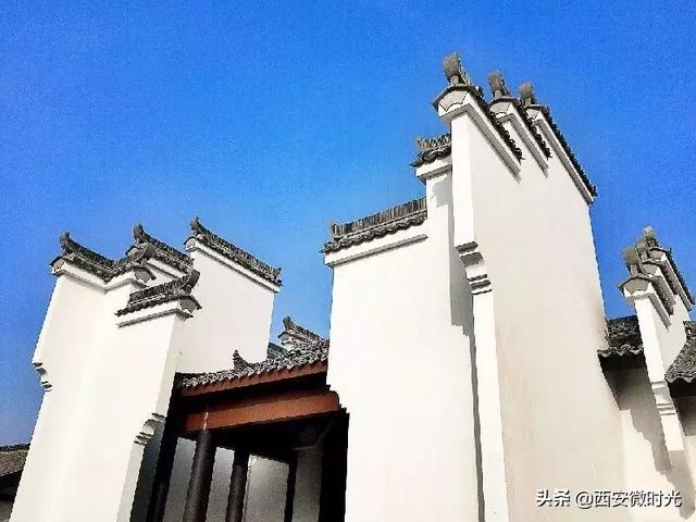 周末去哪看油菜花陕西(骑马赏花觅美食)