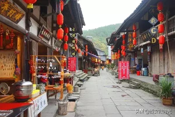 周末去哪看油菜花陕西(骑马赏花觅美食)