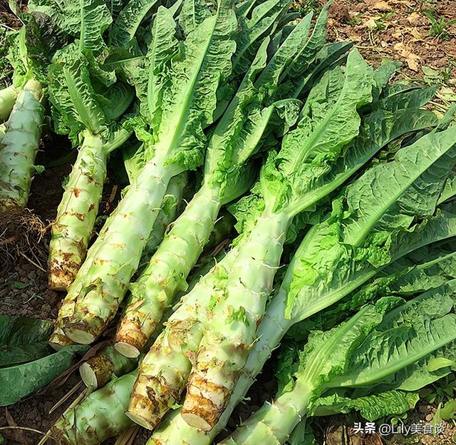 三伏天做什么菜(建议把这5种蔬菜晒干)
