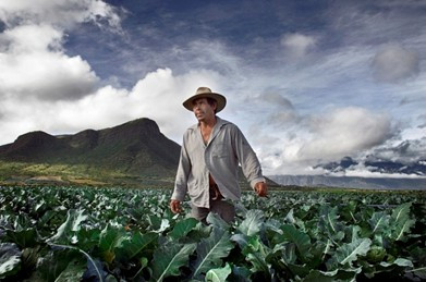 纽崔莱墨西哥农场 纽崔莱墨西哥农场