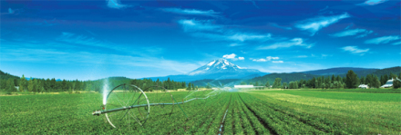 纽崔莱湖景镇农场 纽崔莱湖景镇农场