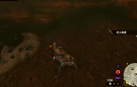 《王国之泪》耐火蜥蜴哪里刷