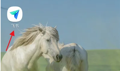 《飞书》会议怎么关闭视频镜像