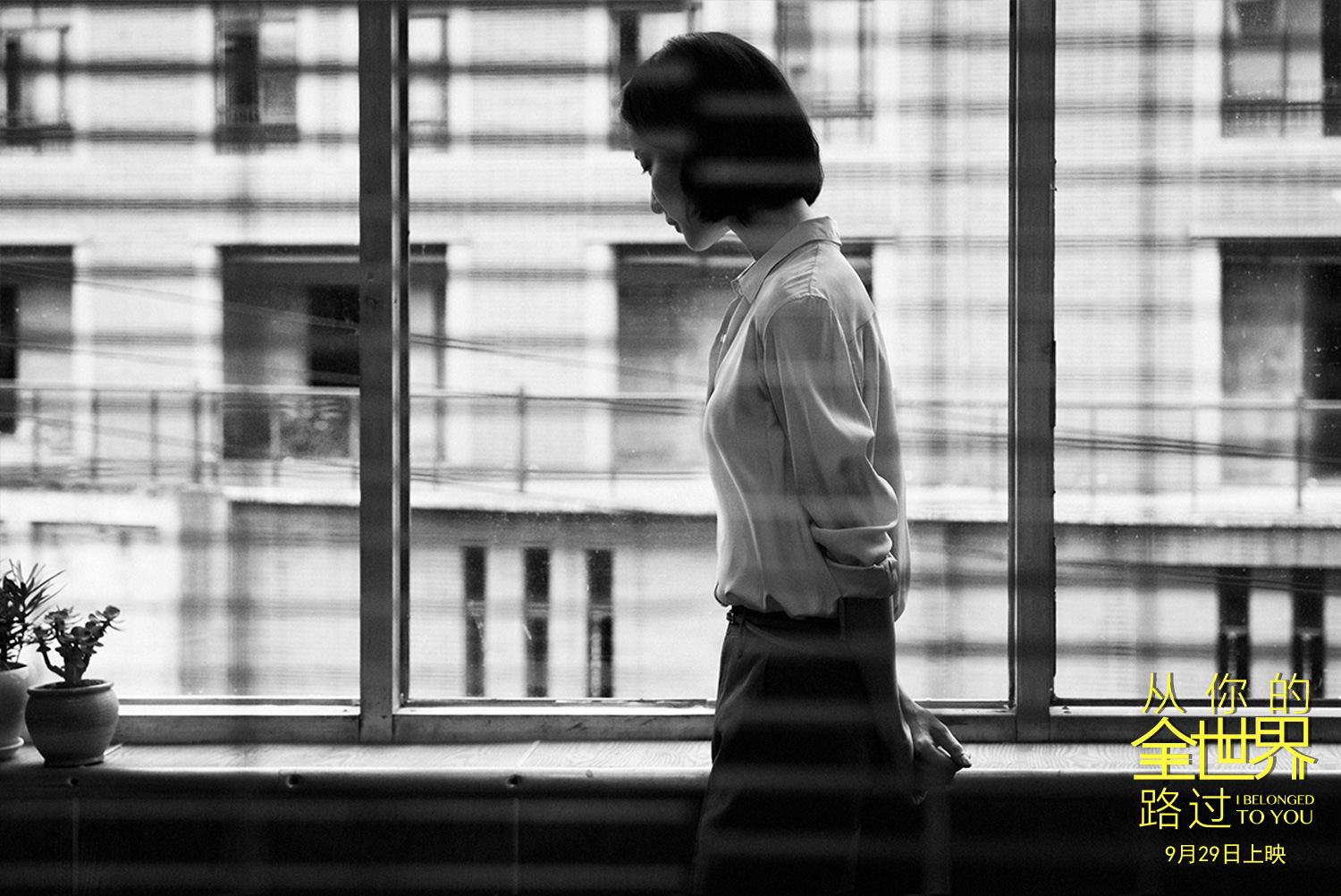 从你的全世界路过
(2016)的剧照 从你的全世界路过
(2016)的剧照