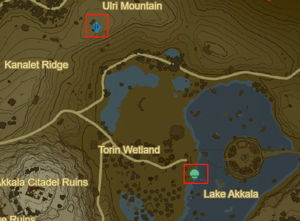 《王国之泪》操纵杆在哪