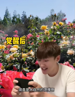 《抖音》血脉觉醒是什么梗