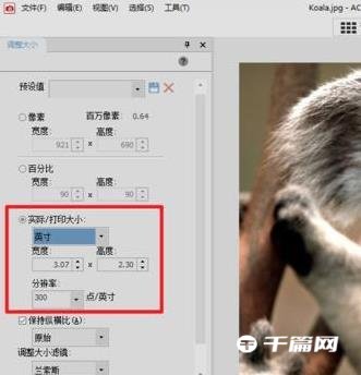 《ACDSee》怎么修改照片分辨率