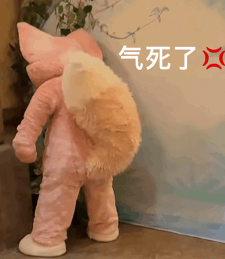 网络用语内胆是什么意思