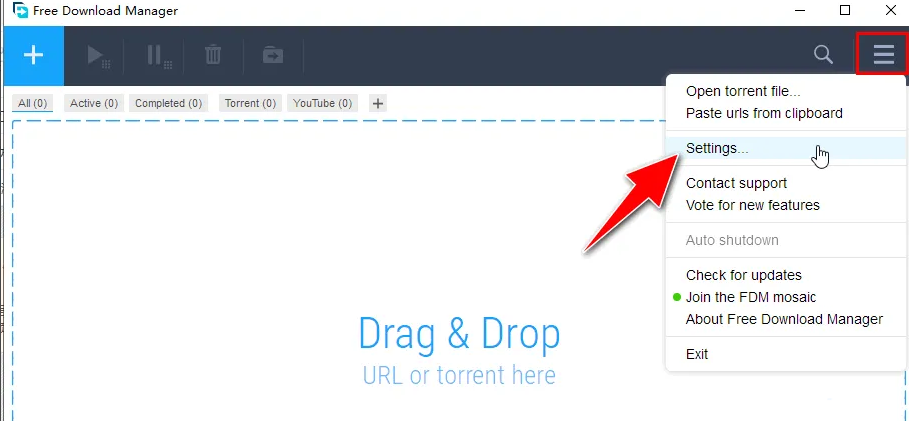 《FDM》怎么设置中文