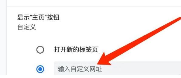 《谷歌浏览器》如何自定义主页网址