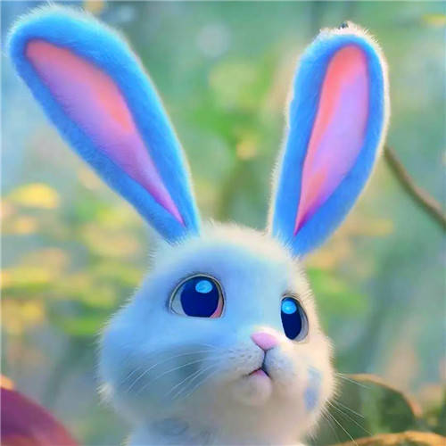 2023《微信》兔年头像最新款