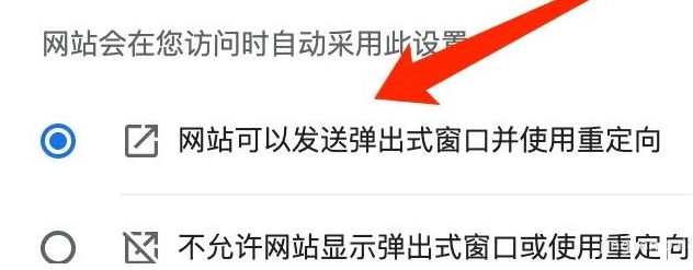 《谷歌浏览器》怎么允许网站重定向