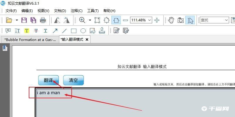 《知云文献翻译》怎么使用输入翻译模式
