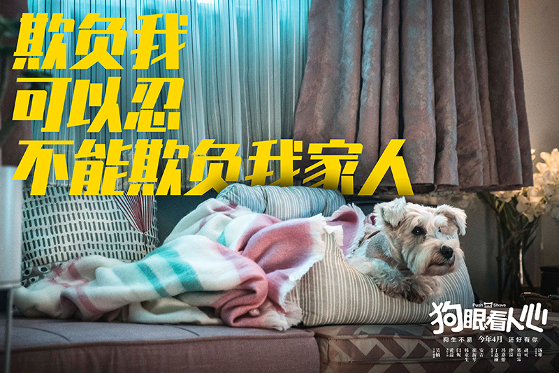 狗眼看人心
(2019)的剧照 狗眼看人心
(2019)的剧照