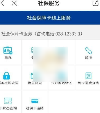 《天府市民云》怎么查询社保明细