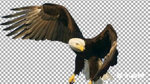 《图片工厂》怎么抠图