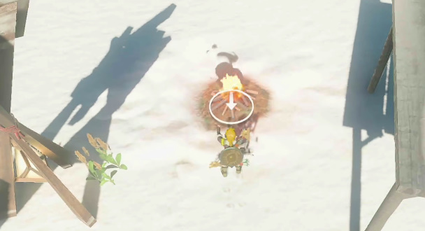 《塞尔达传说：王国之泪》拉布拉山鸟望台开启方法介绍