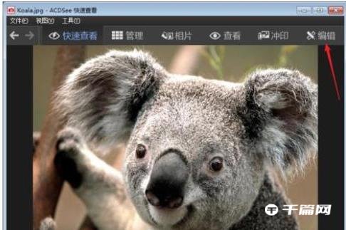 《ACDSee》怎么修改照片分辨率