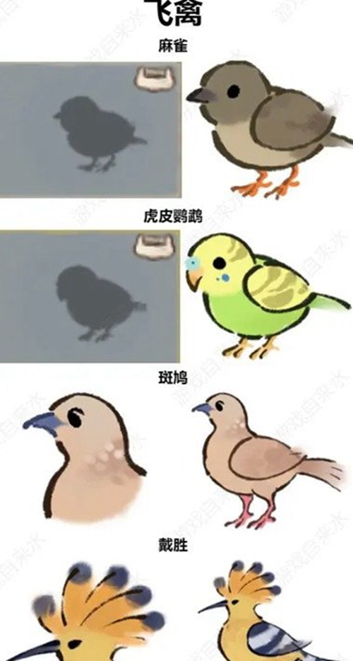 《桃源深处有人家》怎么辨别鸟类