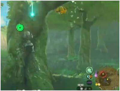 《塞尔达传说：王国之泪》蜂蜜获取位置介绍