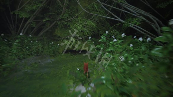 《迷失》视频+图文全记忆全解谜完美全剧情攻略