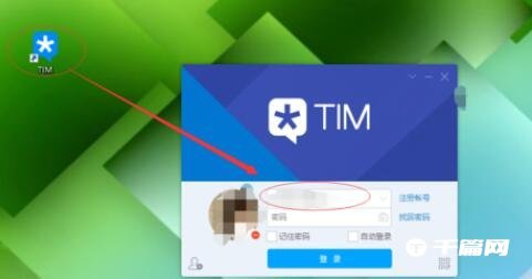 《TIM》电脑版怎么建群