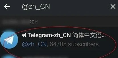 《Telegram》怎么设置中文