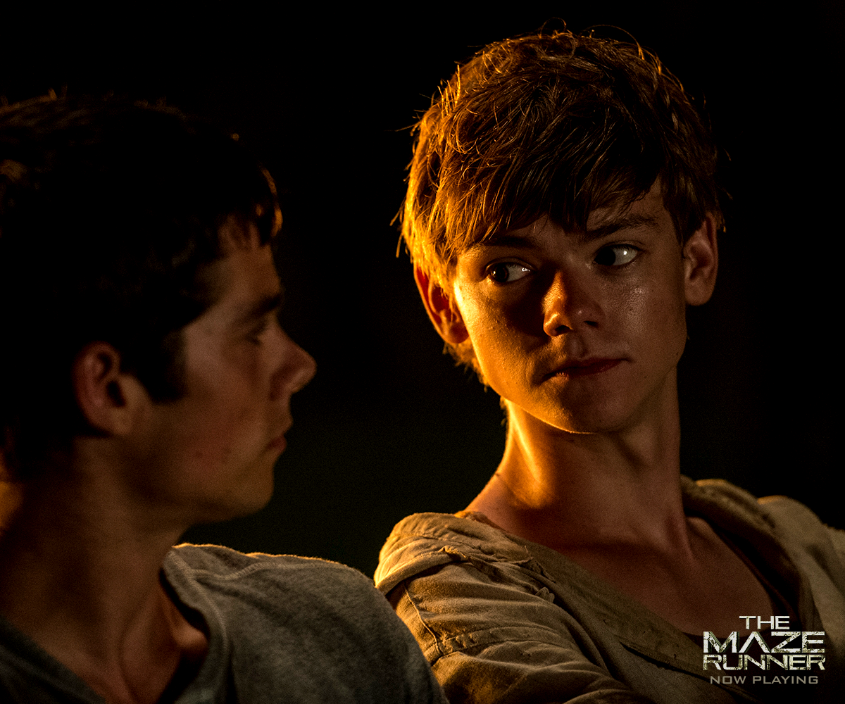 移动迷宫(2014)的剧照 移动迷宫(2014)的剧照